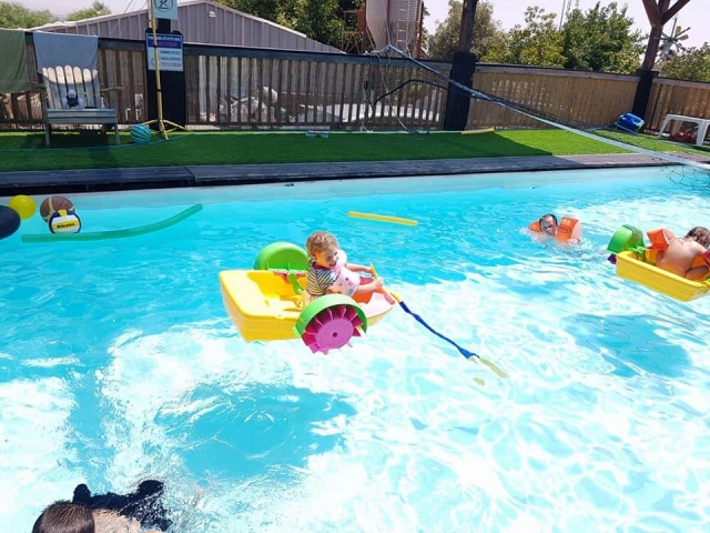 20841847_10210061955645049_6999665051725738957_n