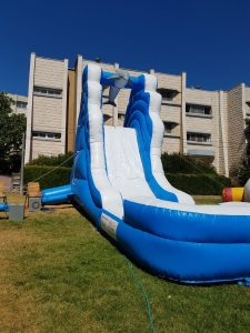 מתנפחים למים להשכרה - מגלשת דולפין