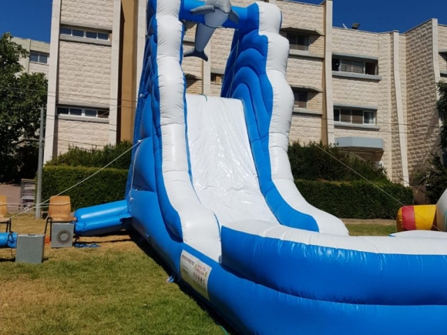 מגלשת מים דולפין גדול